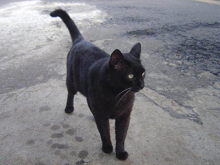 DSC00062