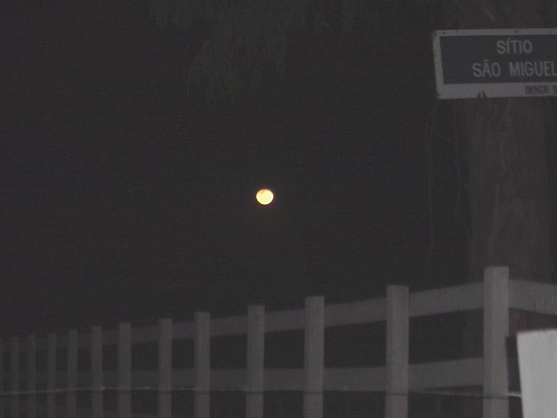 DSC05983