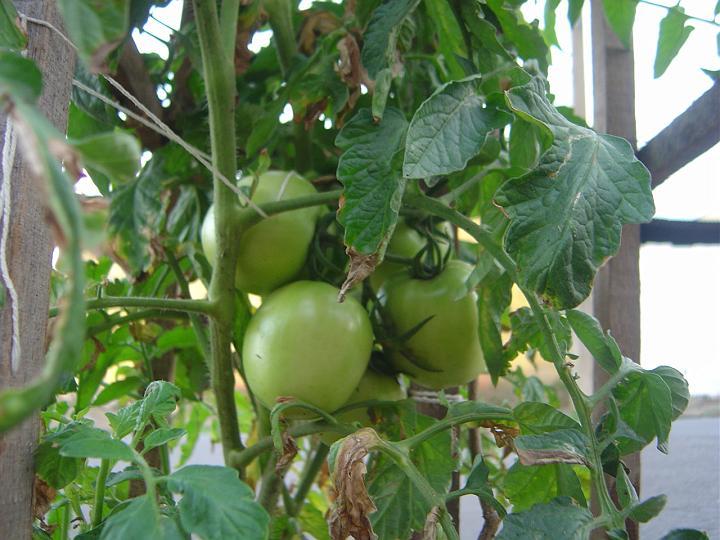 DSC00025