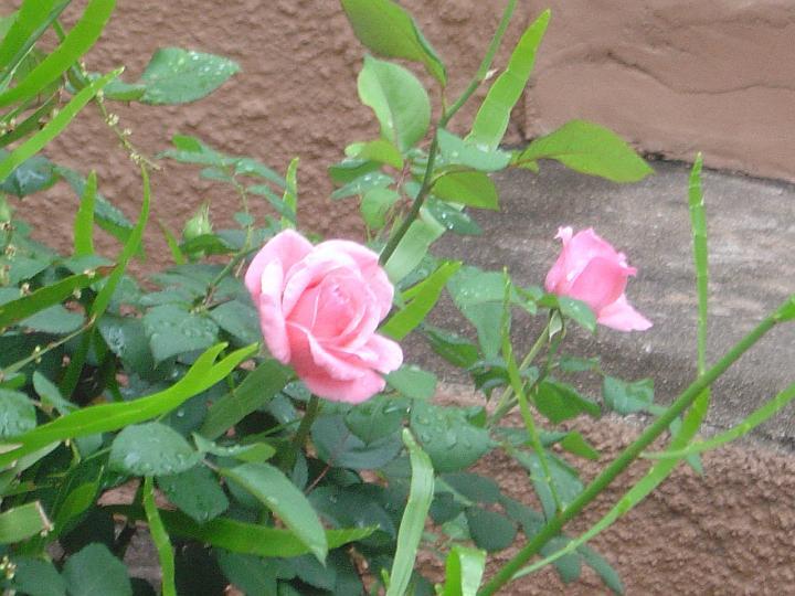 DSC00029