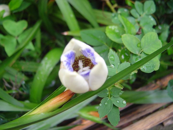 DSC00035