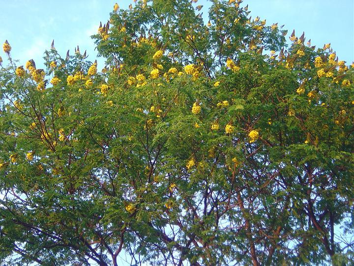 DSC00058