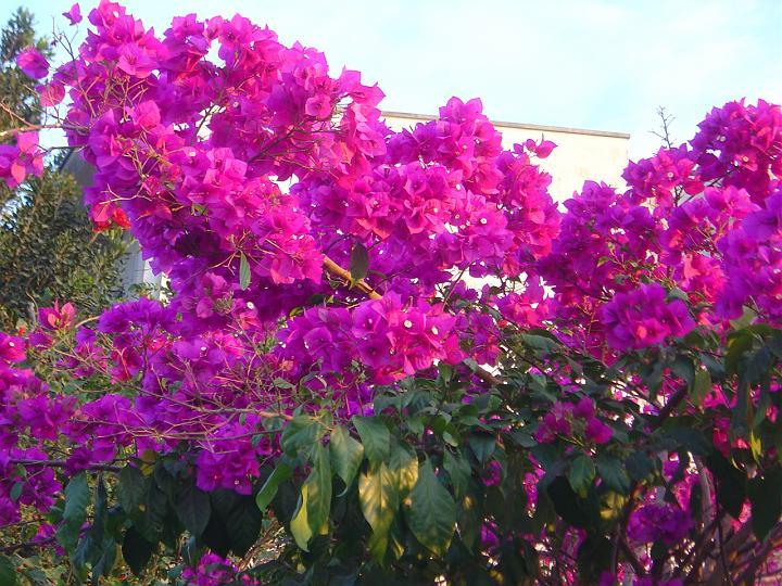 DSC00059