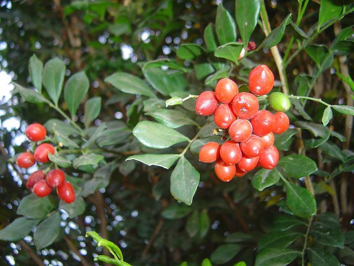 DSC00062