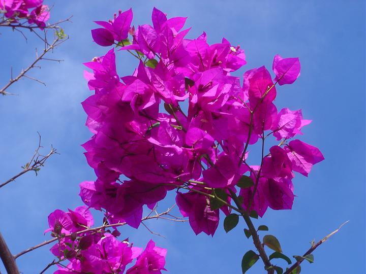 DSC00151