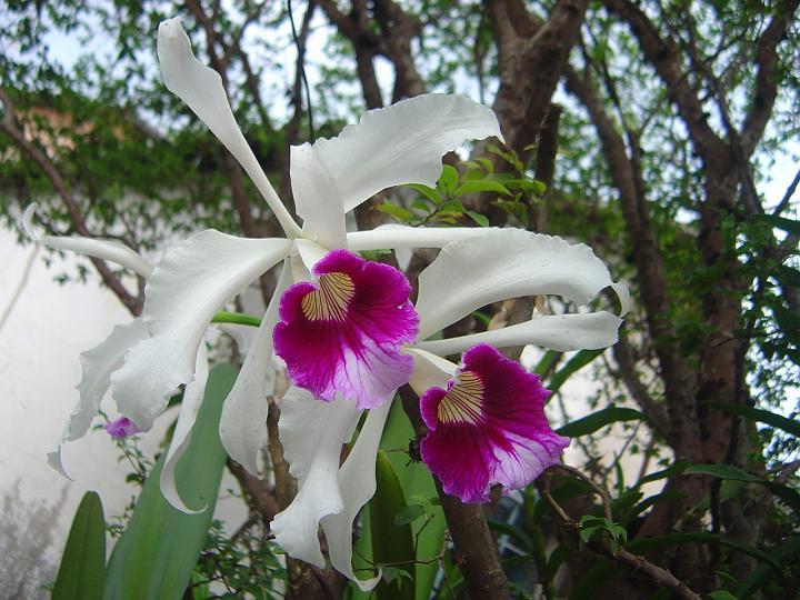 DSC00236