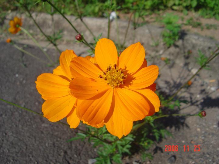 DSC00414