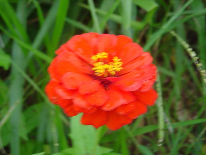 DSC00697