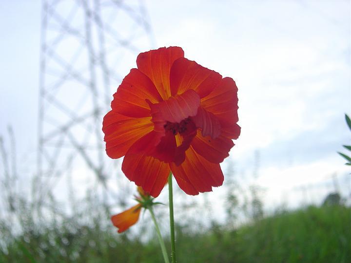 DSC00700