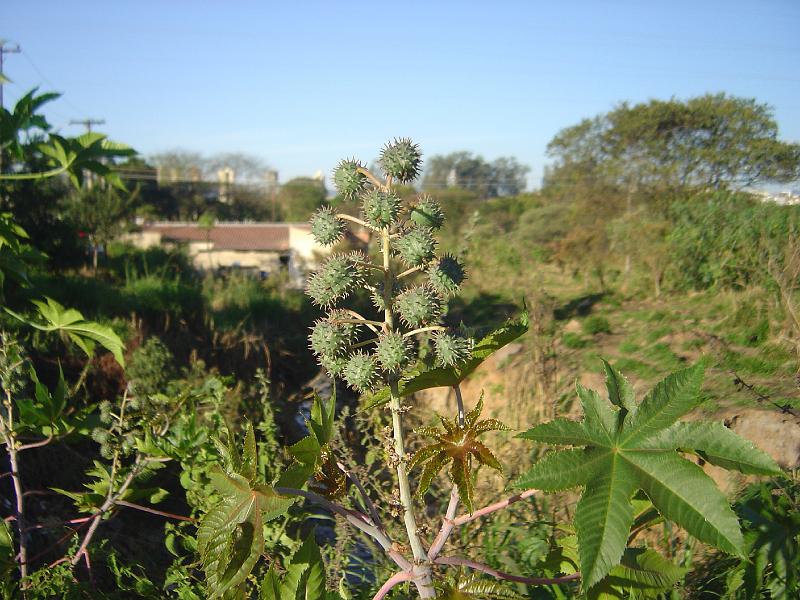 DSC00846