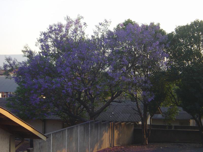DSC01134
