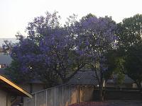 DSC01134
