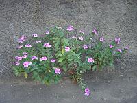 DSC01141