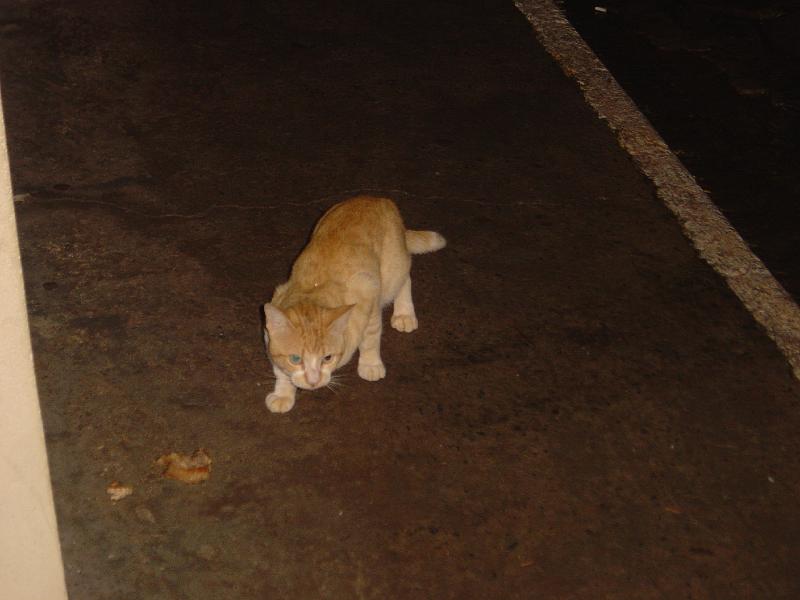 DSC00945