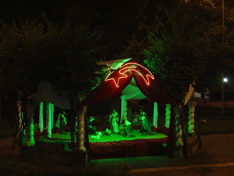 DSC00820