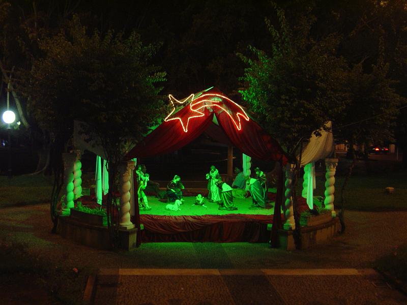 DSC00828
