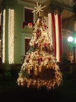  Árvode de natal em frente a prefeitura velha.