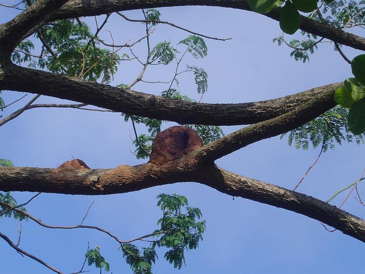 DSC00012
