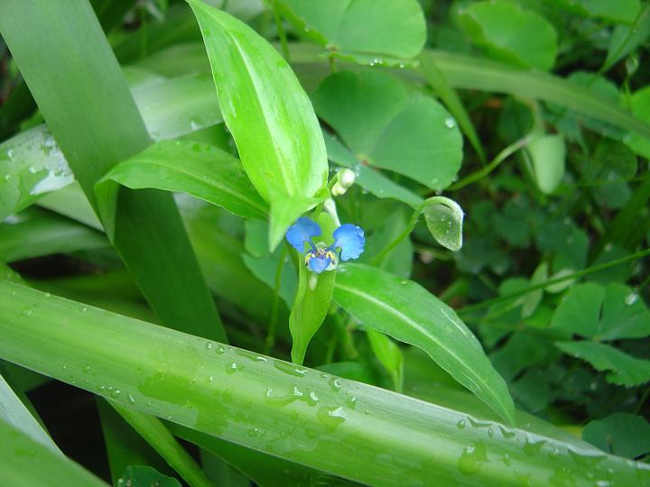 DSC00124