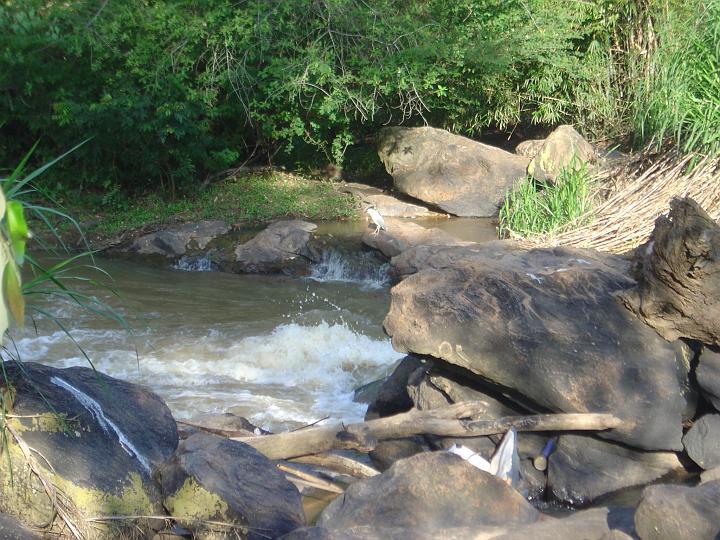 DSC00254
