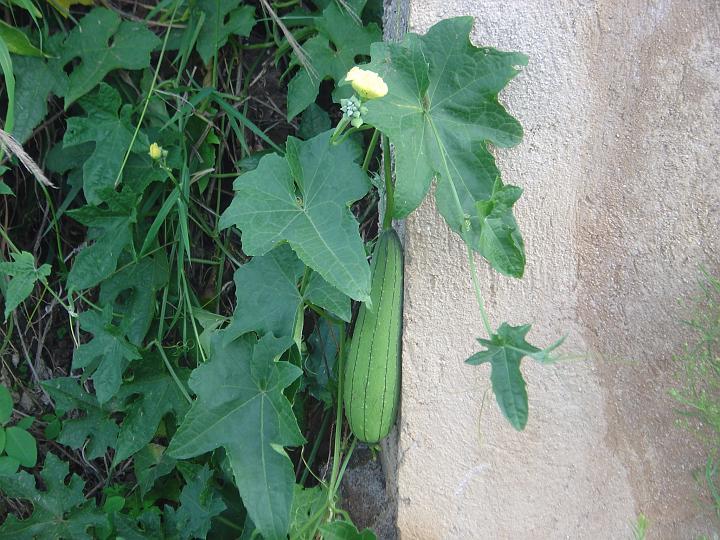 DSC00263
