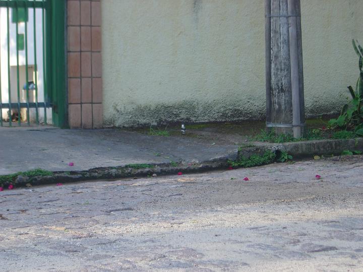 DSC00265
