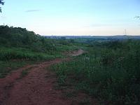  Essa e a estrada que eu não conhecia, que passa a 10 metros de onde tinha a arvore de olhos de cabra.