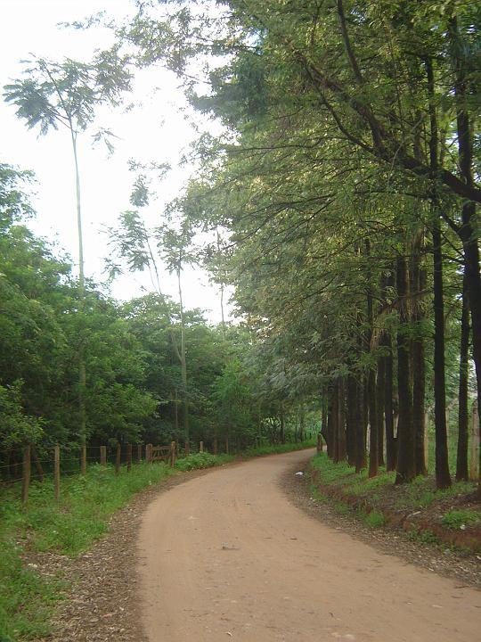 DSC00749