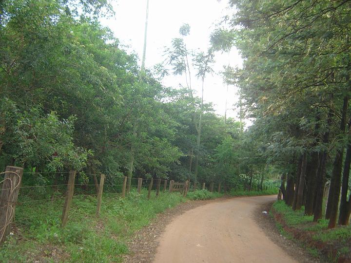 DSC00750