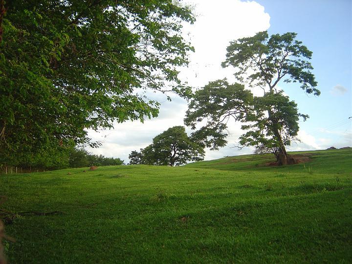 DSC00757