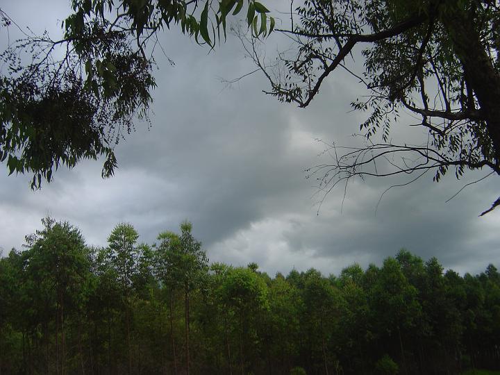DSC00766