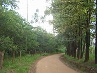  Continuacão da estrada.