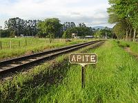  Apite!