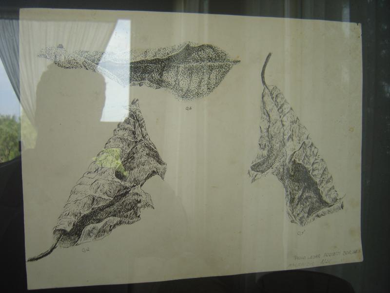 DSC02417