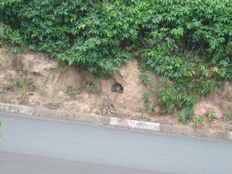 DSC02434