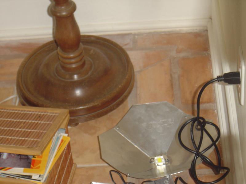 DSC02461