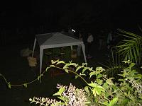 DSC02474