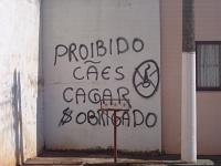  Não é uma placa, mas... sem comentários eheheh.