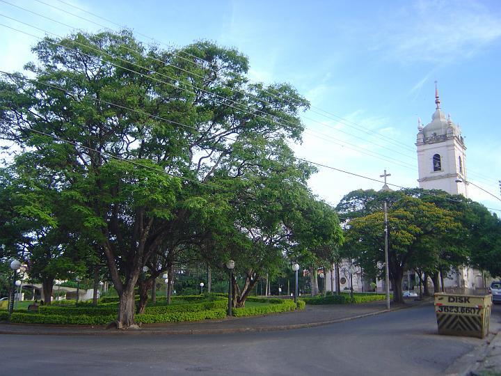 DSC00382