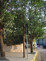  Um poste de luz muito antigo, e todo de ferro fundido.