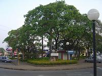  Praça das Palmeiras. Um detalhe que o nome desta praça advem de 4 palmeiras imperiais que foram plantadas no seu centro. Atualmente ha somente 3 palmeiras. Uma morreu.