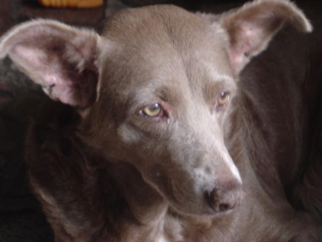 DSC00031