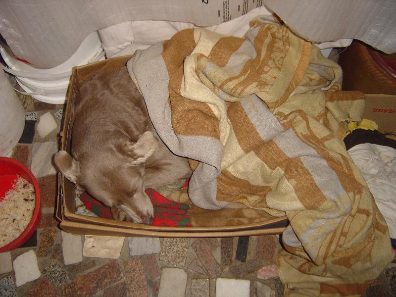 DSC00114