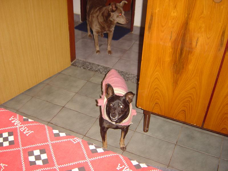DSC00116