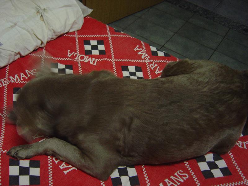 DSC00119