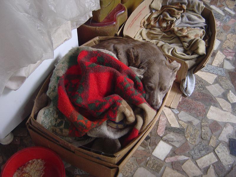 DSC00330