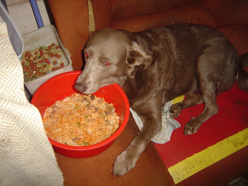DSC00469