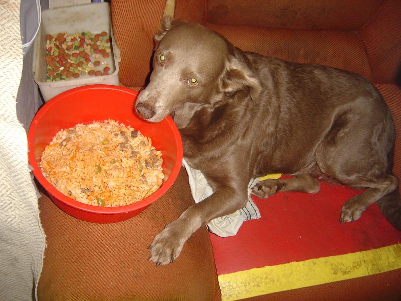 DSC00472