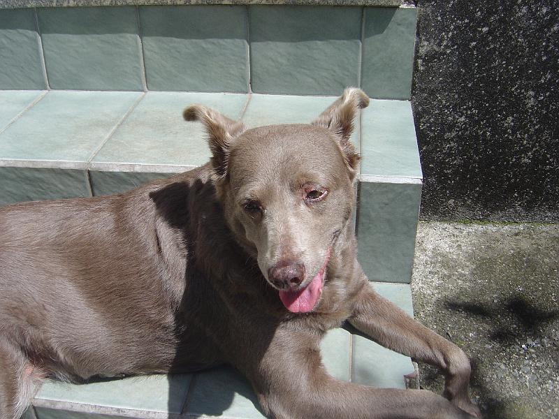 DSC00889