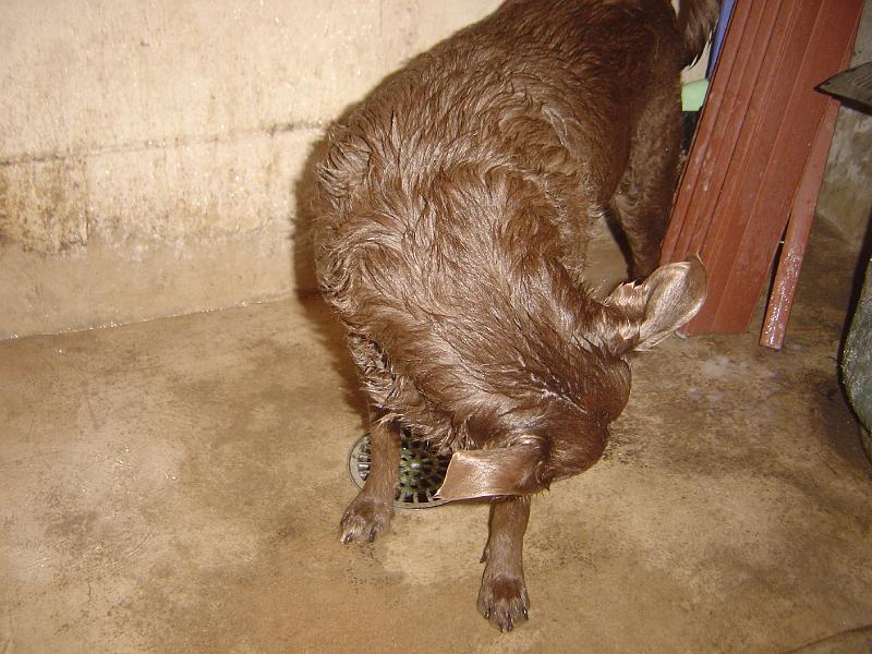 DSC01163